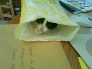 Aus der Zwischenablage am 18.01.2009 23:27 eingefügt.