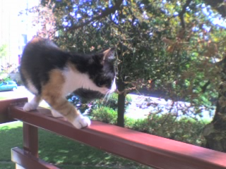 Aus der Zwischenablage am 18.01.2009 23:27 eingefügt.