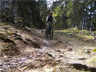 Aus der Zwischenablage am 15.01.2009 11:13 eingefügt.