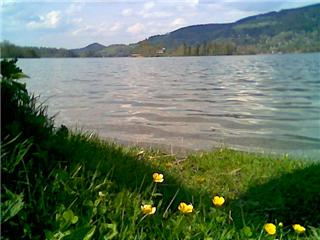 Aus der Zwischenablage am 15.01.2009 10:48 eingefügt.