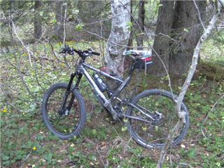 Aus der Zwischenablage am 15.01.2009 10:54 eingefügt. Aus der Zwischenablage am 15.01.2009 10:54 eingefügt.