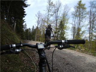 Aus der Zwischenablage am 15.01.2009 10:45 eingefügt.