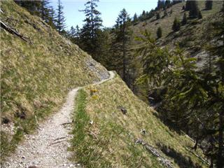 Aus der Zwischenablage am 15.01.2009 10:52 eingefügt.