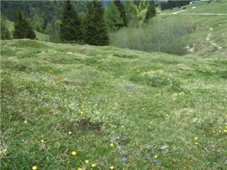 Aus der Zwischenablage am 15.01.2009 10:52 eingefügt.