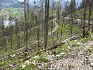 Aus der Zwischenablage am 15.01.2009 10:44 eingefügt.