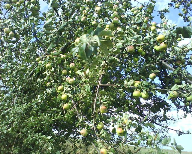 Aus der Zwischenablage am 18.01.2009 23:17 eingefügt. Aus der Zwischenablage am 18.01.2009 23:17 eingefügt.