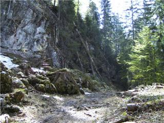 Aus der Zwischenablage am 15.01.2009 11:08 eingefügt.