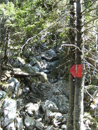 Aus der Zwischenablage am 15.01.2009 10:55 eingefügt. Aus der Zwischenablage am 15.01.2009 10:55 eingefügt.