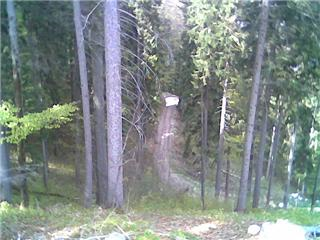 Aus der Zwischenablage am 15.01.2009 10:46 eingefügt.