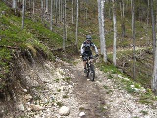 Aus der Zwischenablage am 15.01.2009 10:44 eingefügt.